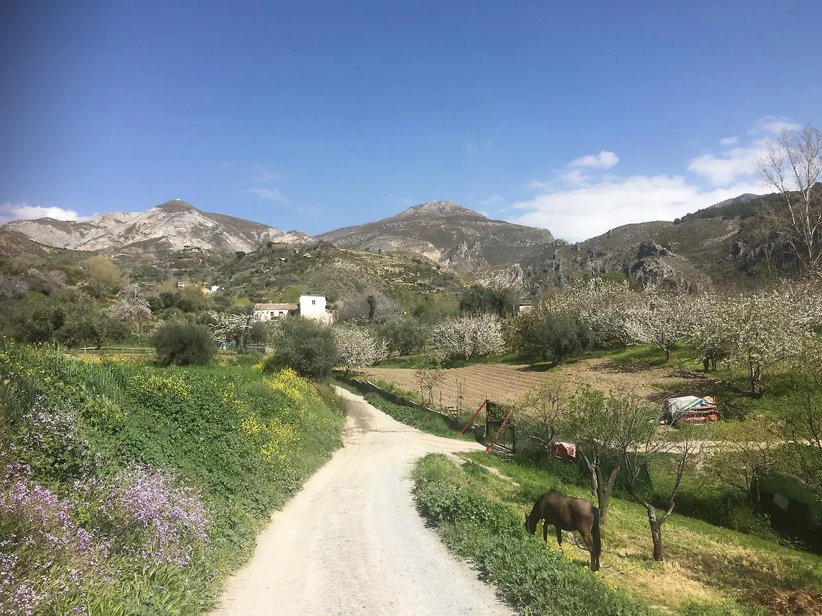 Hotel Rural Fuente La Teja Guejar Sierra 3*,  Spain