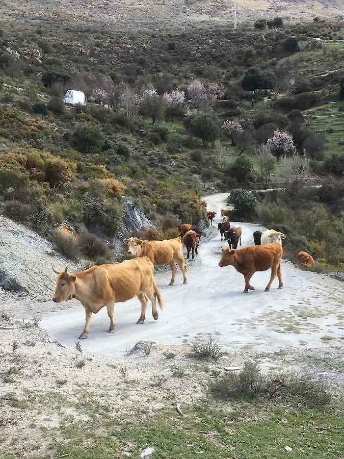 Hotel Rural Fuente La Teja Guejar Sierra Bed & Breakfast